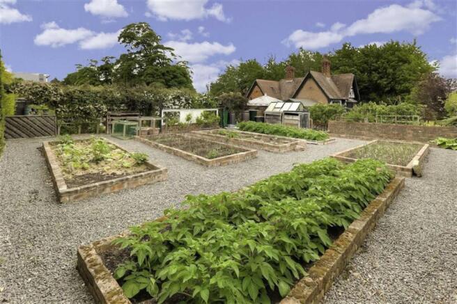 Vegetable Plots
