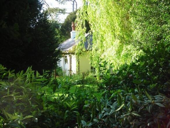 Picture 11