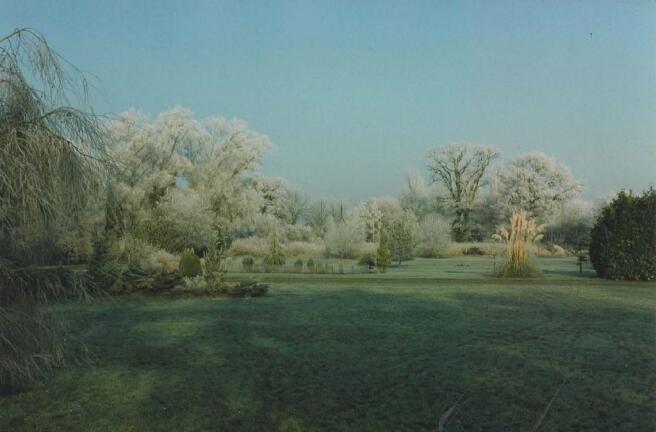 Grounds