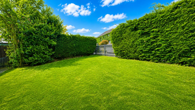 Front Garden