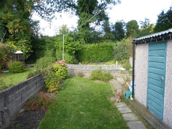 Photo 12