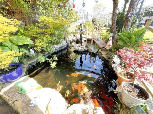 Pond.jpg
