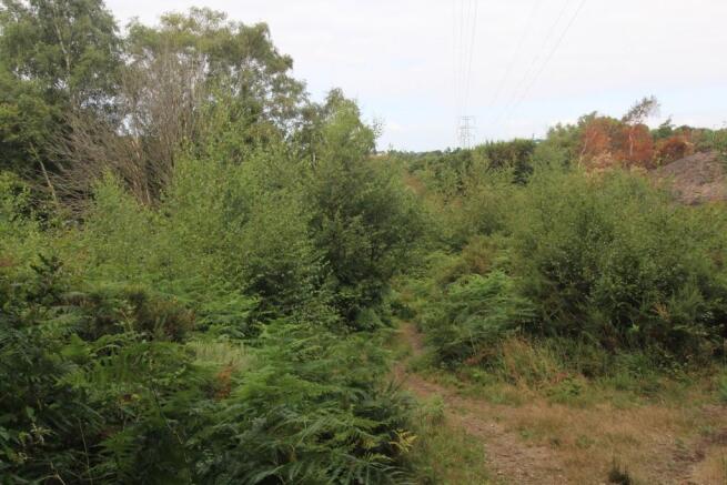 Local Area