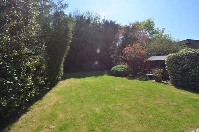 Garden 2