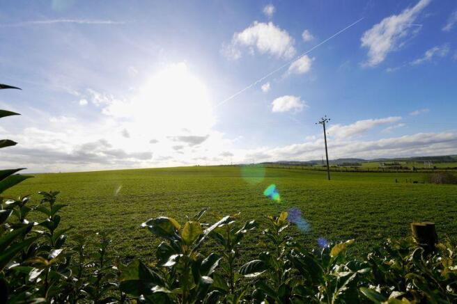 FIELD VIEWS