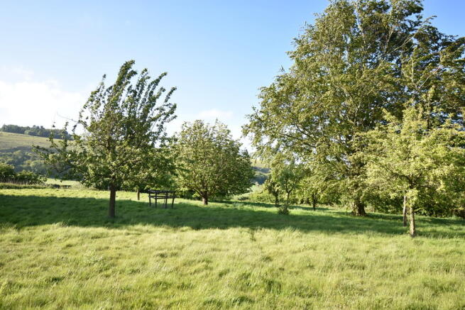 Photo 40