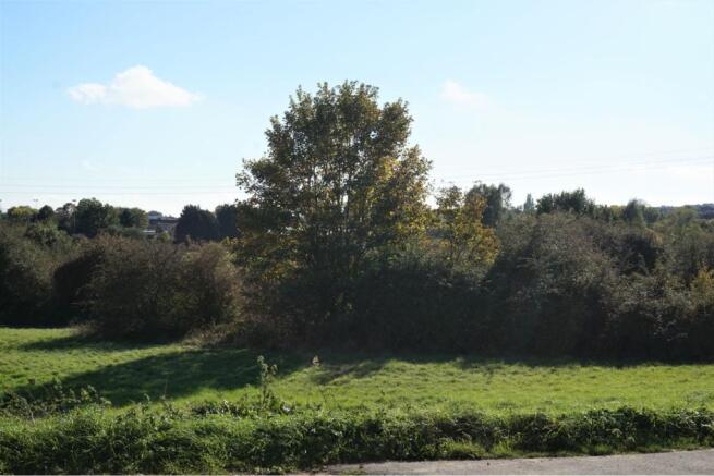 Surrounding Area