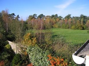 Garden And Meadow