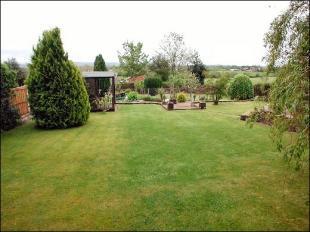 Garden 2