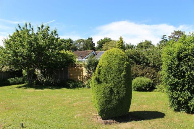 Garden 3