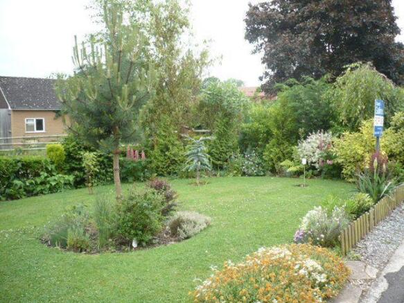 Photo 7