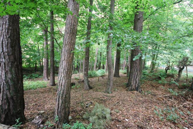 Private Woodland