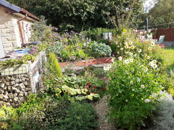 Photo 21