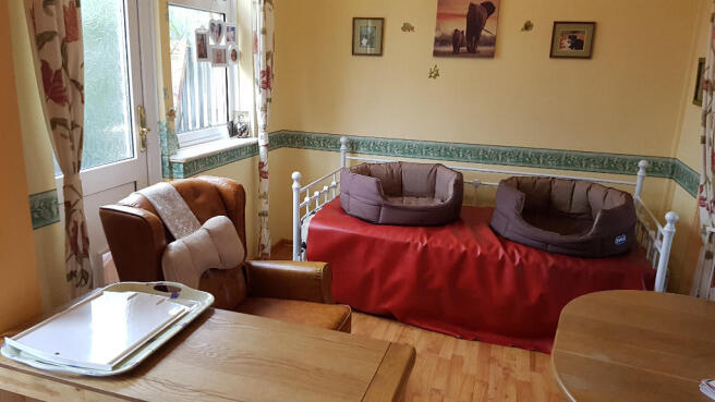 Photo 5