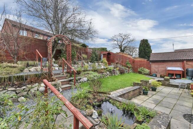 Garden pond.jpg