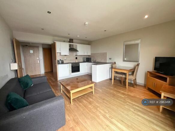 Living / Kitchen Area