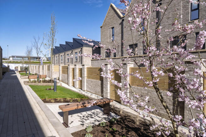 Construction_Forg...