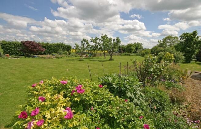 View over garden