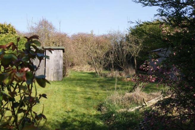 garden pic 2