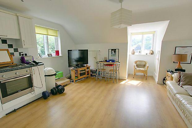 Apartment/Living Roo