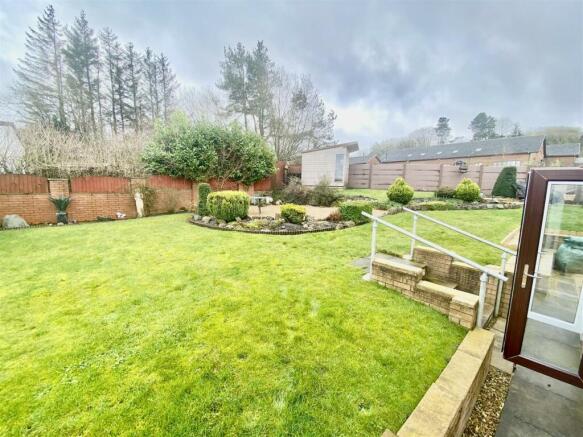 IMG_4251.jpg