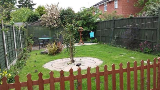 Photo 11