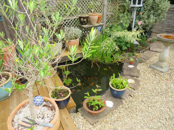 Photo 15