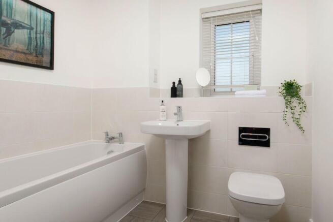 Showhome Photography