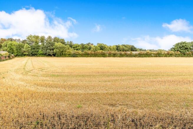 Field Views To Rear