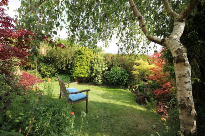 Photo 15