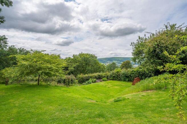 Garden and View