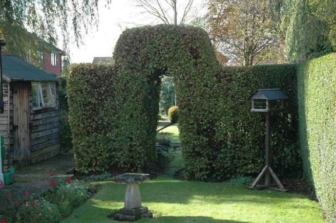 Garden Shot 2