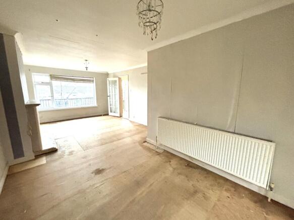 IMG 2701 New T202601121057.jpg