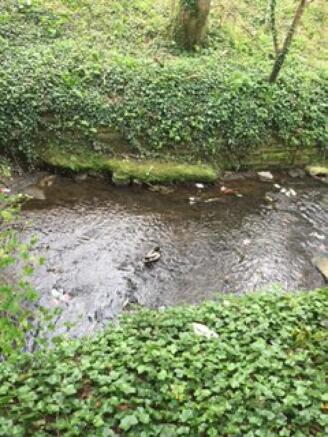 Photograph 14