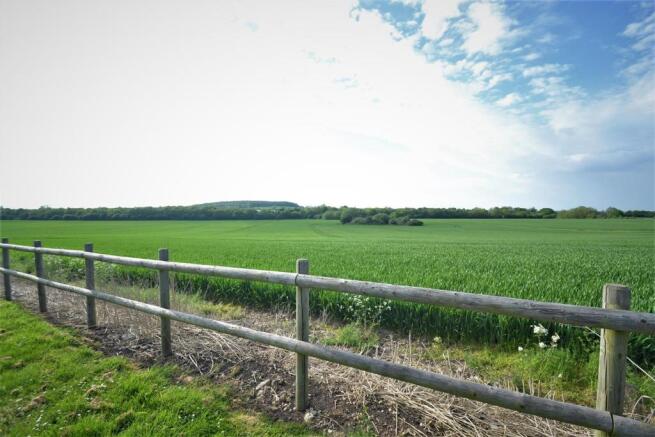 DSC_0119.JPG