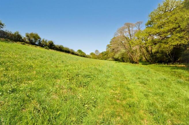 Meadow