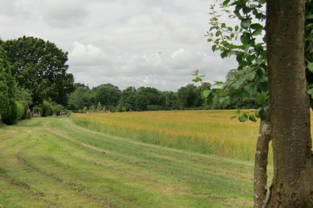 Farmland view