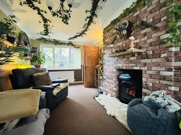 IMG_0213