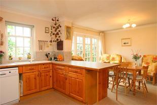 Living Kitchen/Family Room
