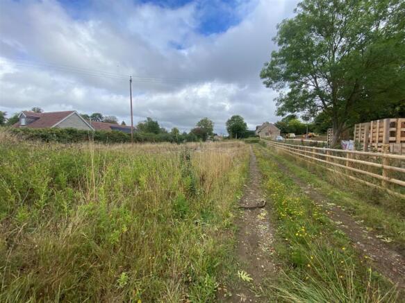 Pitney, Langport photo 4