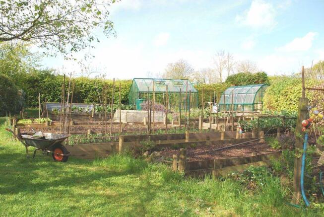 VEGETABLE PLOT