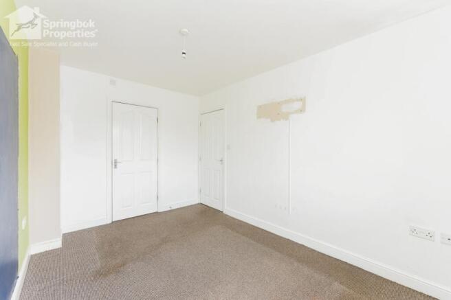 IMAGE 8