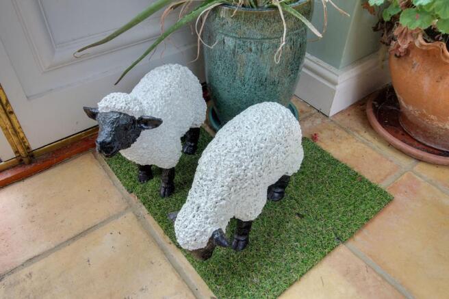 Will Ewe Love This Home...