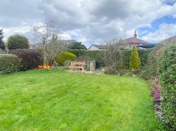 rear garden.jpg