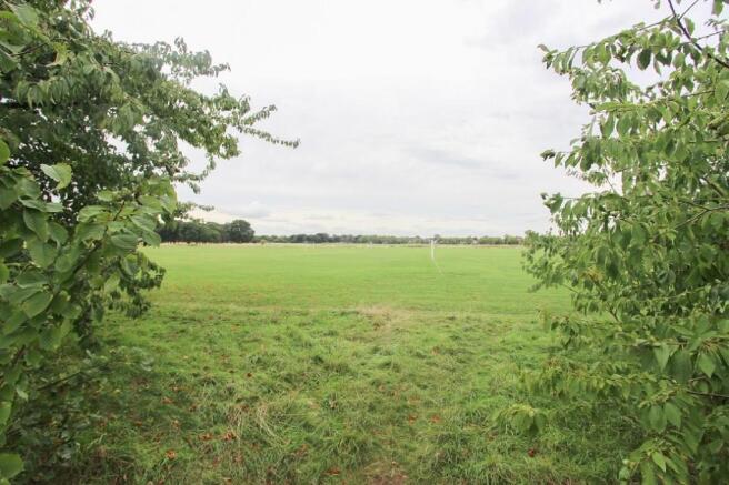 Wanstead Flats