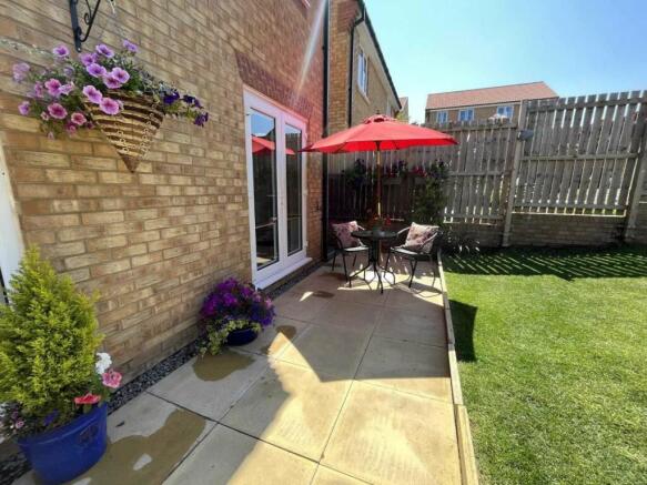 Back Garden