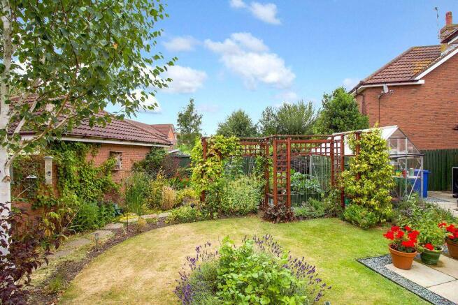 Garden at Back