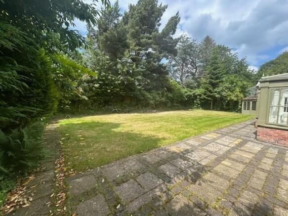 New garden 2.jpg