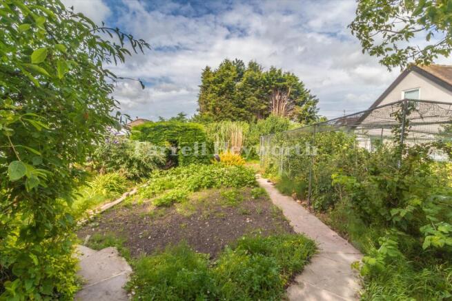 Garden image 8