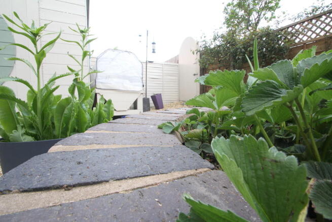 Photo 22